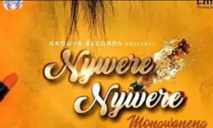 DJ Sdunkero - Nywere Nywere (Mongwaneng) Ft.Slim Od, Afro Brothers & Mlenga